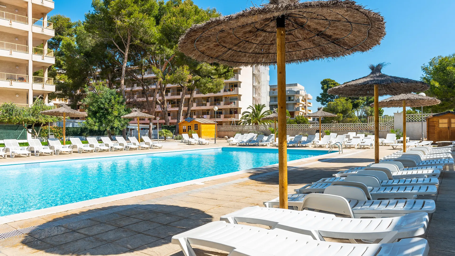 Vendrell Apartment